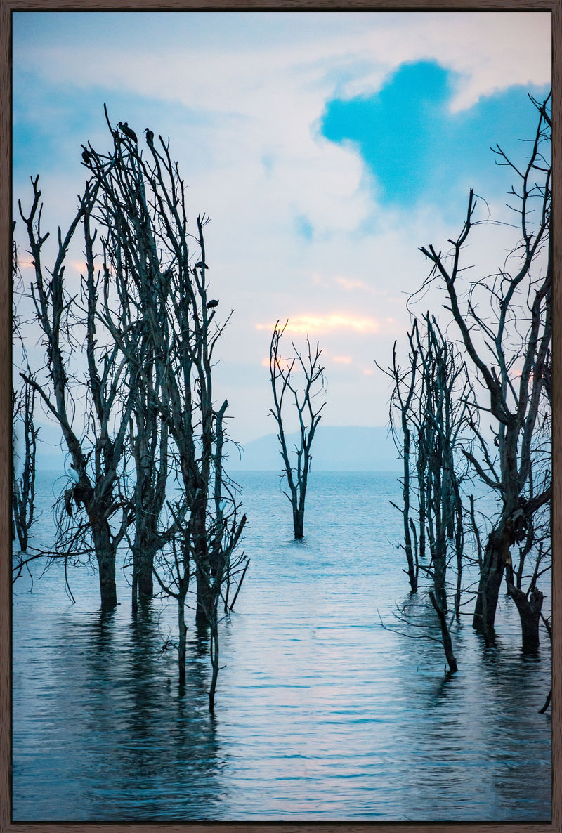 media image for Separated by Leftbank Art 219