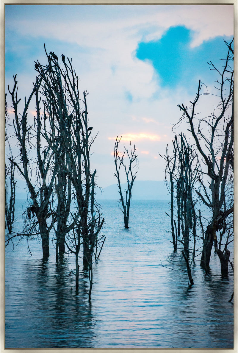 media image for Separated by Leftbank Art 215