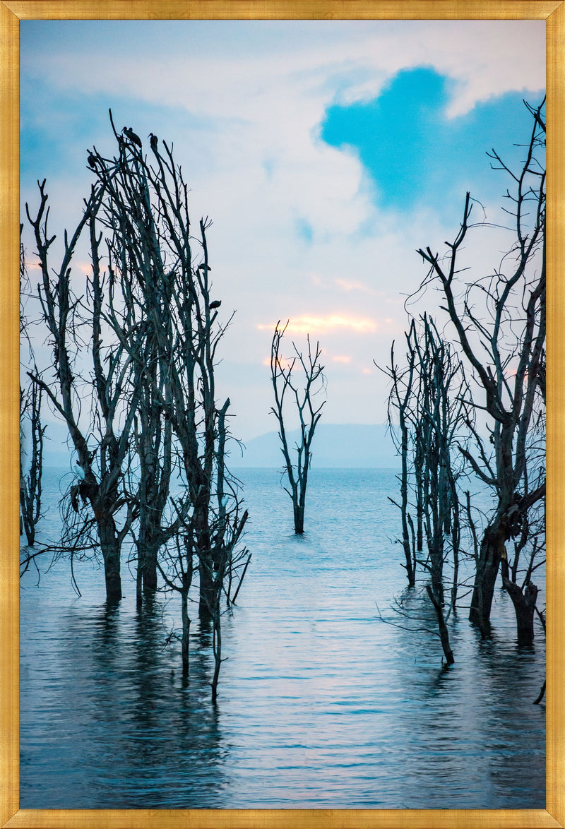 media image for Separated by Leftbank Art 289
