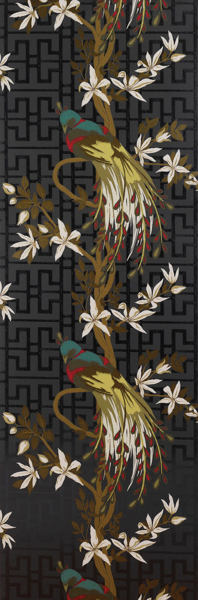 product image for Paradiso Wallpaper in black and multi-color by Nina Campbell 90