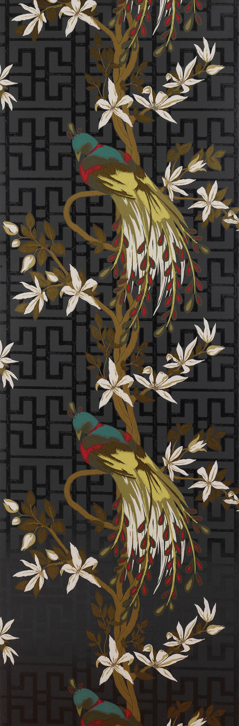 media image for Paradiso Wallpaper in black and multi-color by Nina Campbell 242