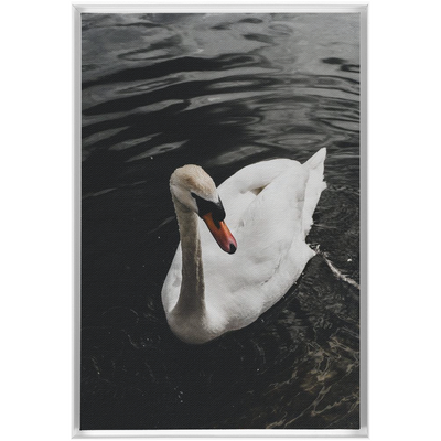 product image for swan framed canvas 19 56
