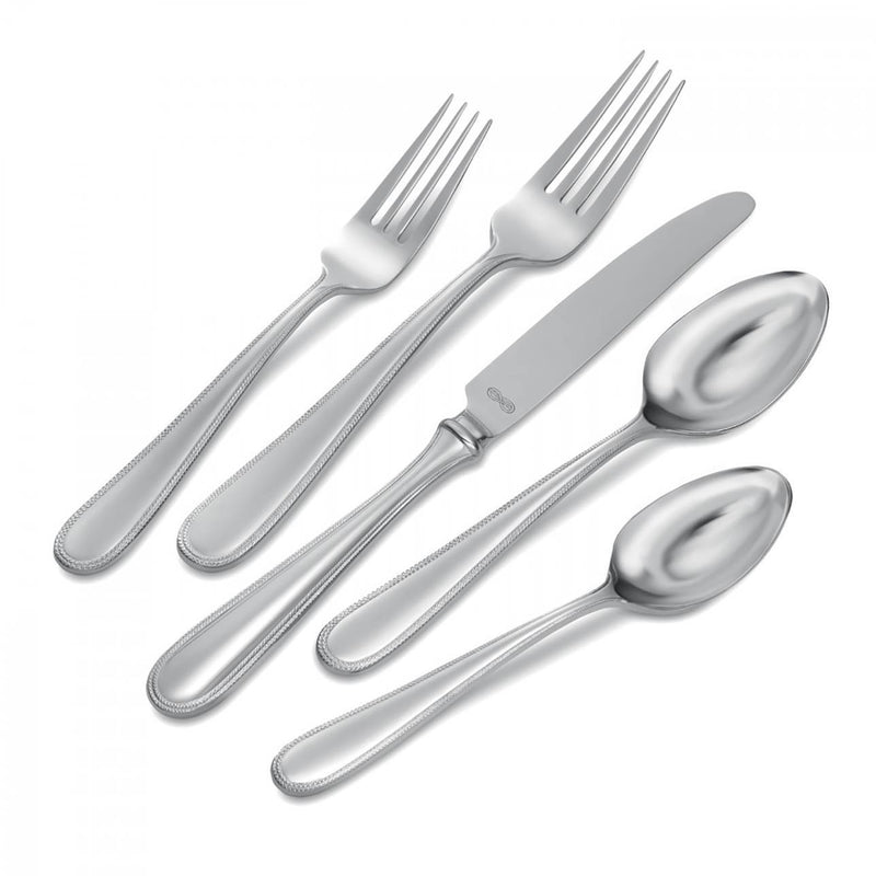 media image for Vera Infinity Stainless Steel 5-Piece Place Setting by Vera Wang 294