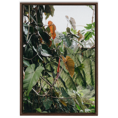 product image for jungle framed canvas 9 3