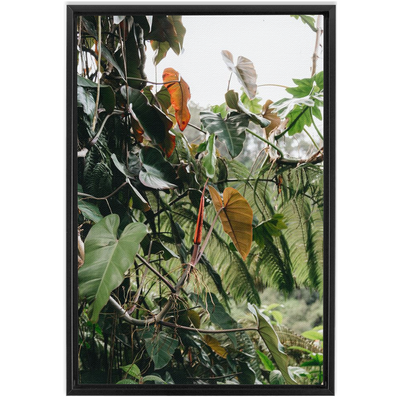 product image for jungle framed canvas 8 23