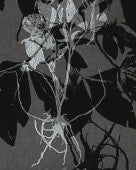 media image for sample sleeping briar rose wallpaper in noir design by jill malek 1 261