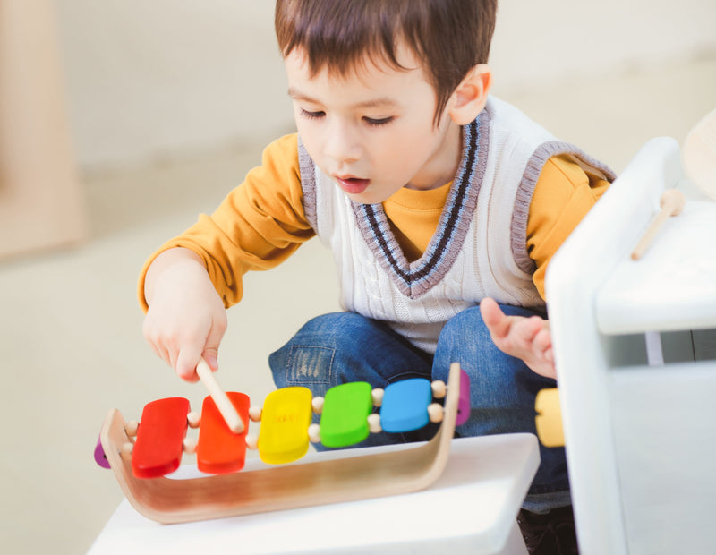 media image for oval xylophone by plan toys 3 218