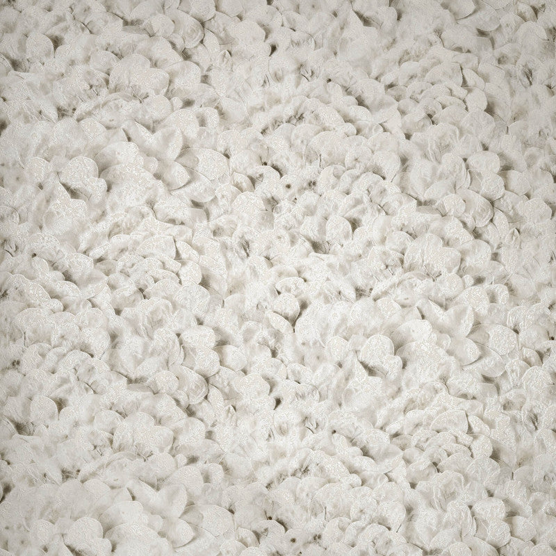 media image for Sample Arco Wildflower Wallpaper in Sesame 220