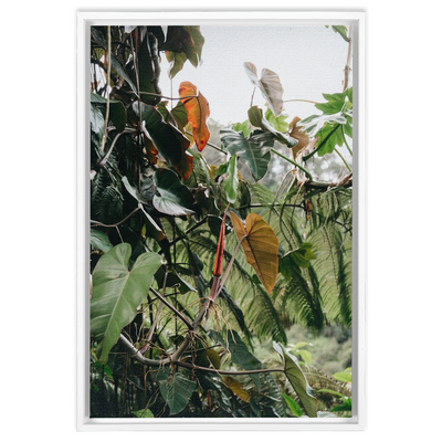 product image for jungle framed canvas 4 21