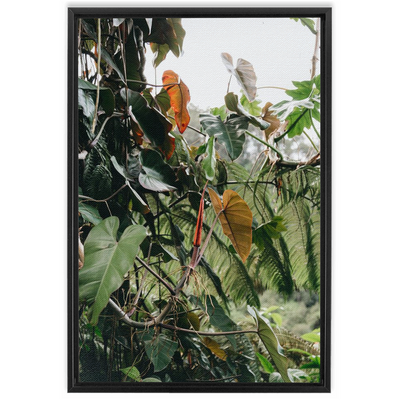 product image for jungle framed canvas 10 82