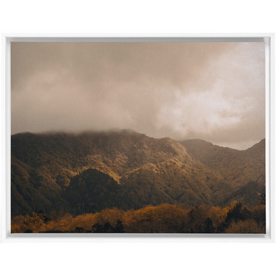 product image for furnas canvas 13 96