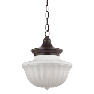 product image for Dutchess 1 Light Medium Pendant by Hudson Valley Lighting 46
