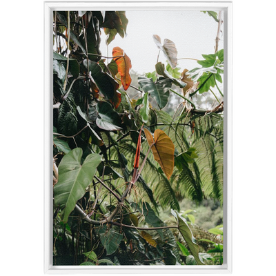 product image for jungle framed canvas 2 0