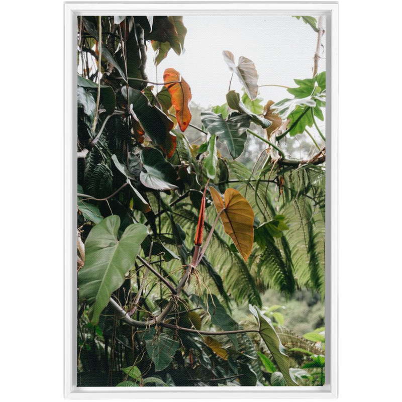 media image for jungle framed canvas 2 296