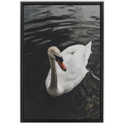 product image for swan framed canvas 10 9