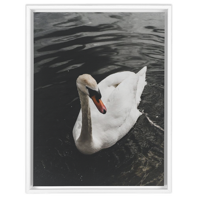 product image for swan framed canvas 6 54