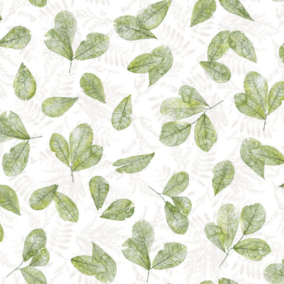 product image of sample fossil leaf toss wallpaper in green from the evergreen collection by galerie wallcoverings 1 587