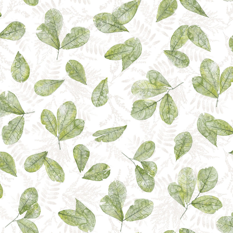 media image for sample fossil leaf toss wallpaper in green from the evergreen collection by galerie wallcoverings 1 220