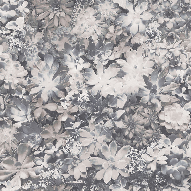 media image for sample succulents wallpaper in grey from the evergreen collection by galerie wallcoverings 1 229