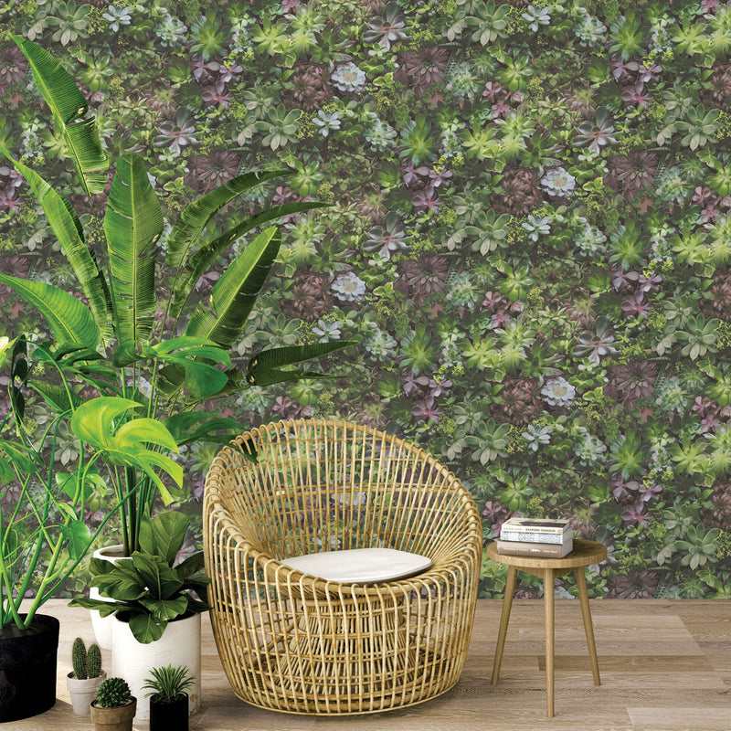 media image for Succulents Wallpaper in Multicolor from the Evergreen Collection by Galerie Wallcoverings 262