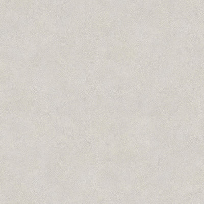 product image of sample veining leaf texture wallpaper in grey from the evergreen collection by galerie wallcoverings 1 589
