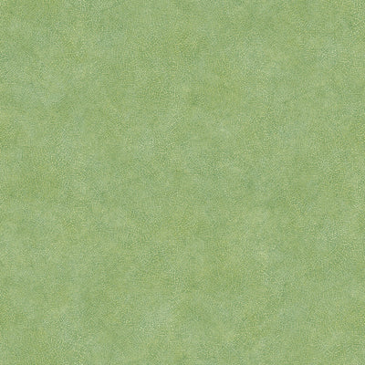 product image of Veining Leaf Texture Wallpaper in Green from the Evergreen Collection by Galerie Wallcoverings 530