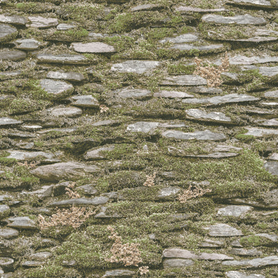 product image of sample rock wall wallpaper in green from the evergreen collection by galerie wallcoverings 1 546