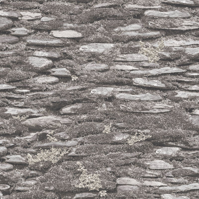 product image for Rock Wall Wallpaper in Grey from the Evergreen Collection by Galerie Wallcoverings 32