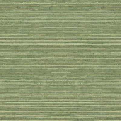 product image of Grasscloth Wallpaper in Green from the Evergreen Collection by Galerie Wallcoverings 57