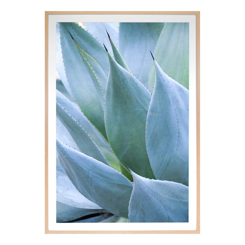 media image for Agave I By Grand Image Home 77913_P_34X24_M 1 295