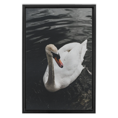 product image for swan framed canvas 2 45