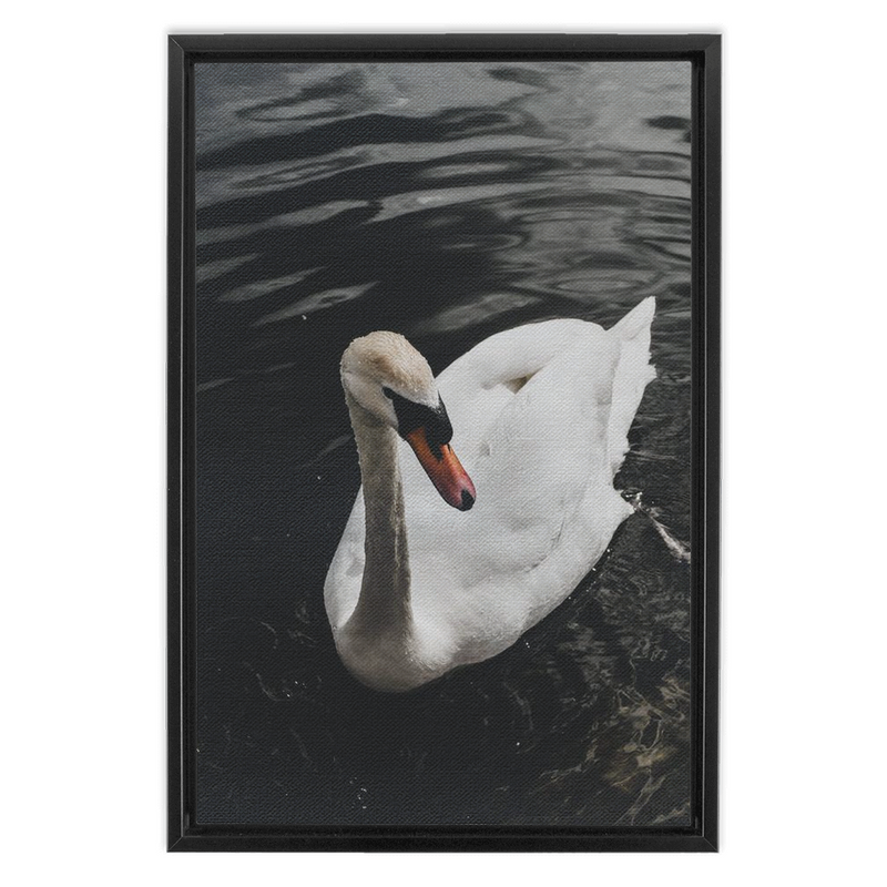 media image for swan framed canvas 2 284