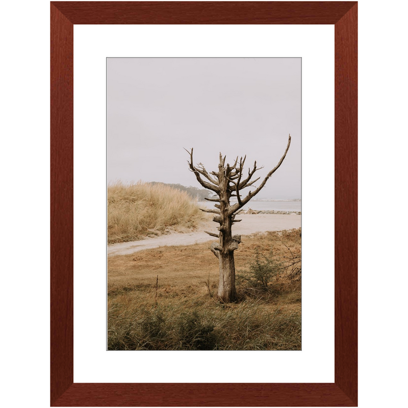 media image for lone tree framed print 2 257