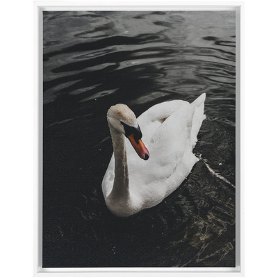 product image for swan framed canvas 15 5