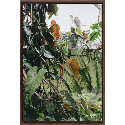 product image for jungle framed canvas 5 45