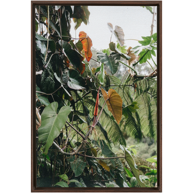 media image for jungle framed canvas 5 265