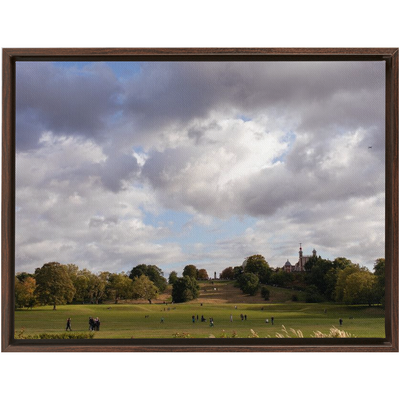 product image for furnas canvas copy 14 9