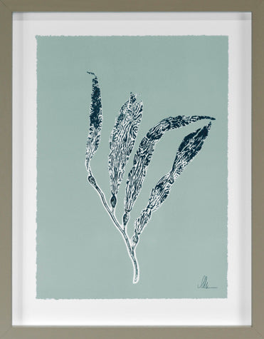 product image for Sea Kelp 5 By Grand Image Home 86553_P_14X12_Gr 1 66