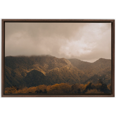 product image for furnas canvas 11 79
