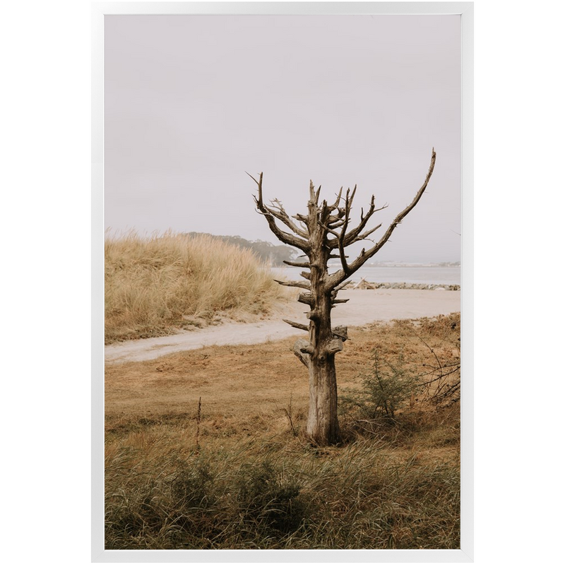 media image for lone tree framed print 8 241
