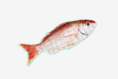 product image for little puzzle thing fish 1 80