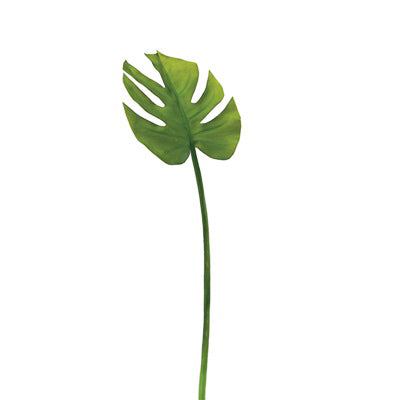 product image for monstera leaf 23 stem design by torre tagus 2 28