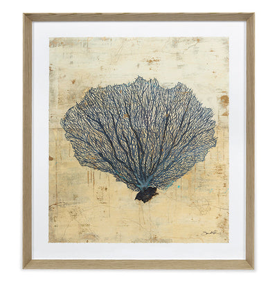 product image for Sea Fan By Grand Image Home 90217_P_31X28_O 1 47