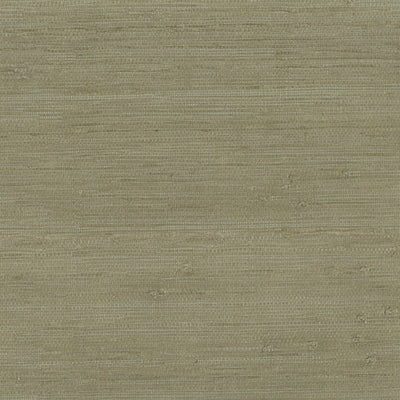 product image of Grasscloth Fine Jute Wallpaper in Dark Sage Green 520