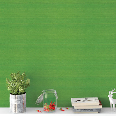 product image for Grasscloth Fine Sisal Wallpaper in Lime Green 95