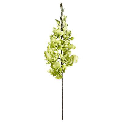 media image for desert gladiolus 14 bloom 50 stem in green design by torre tagus 2 269