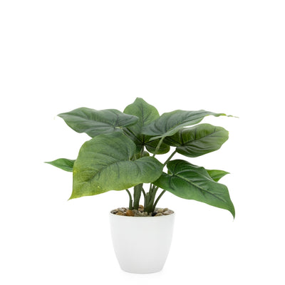 product image for villa 4 5 diameter faux potted 10 plant in calla leaf design by torre tagus 2 33