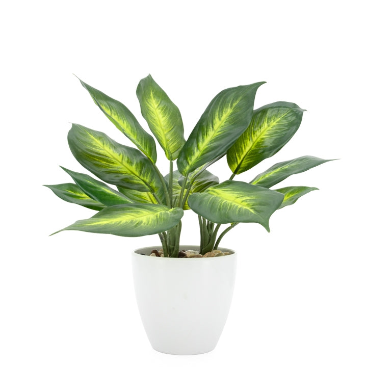 media image for villa 5 5 diameter faux potted 13 plant in dieffenbachia design by torre tagus 1 251