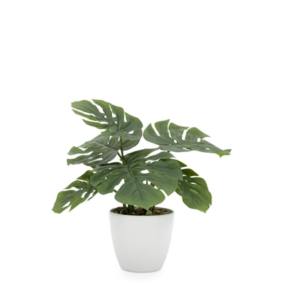 product image for Villa 4.5" Diameter Faux Potted 10" Plant in Monstera design by Torre & Tagus 29