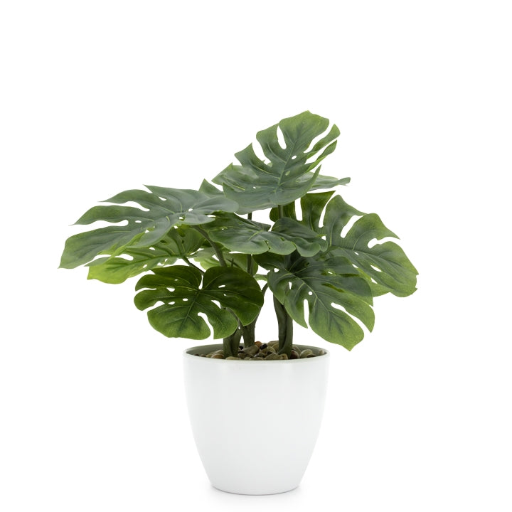 media image for villa 5 5 diameter faux potted 12 plant in monstera design by torre tagus 2 292